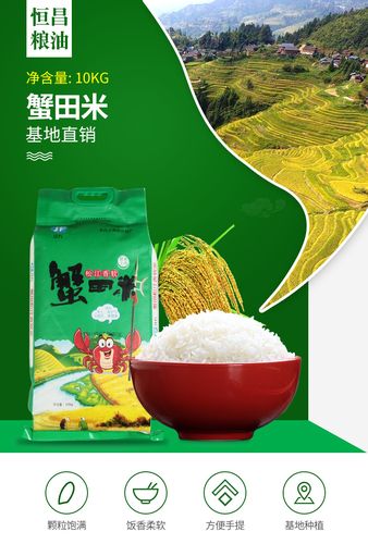 厂家大量直销供应 蟹田米10kg 农产品大米 现货供应